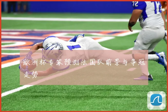 欧洲杯专家预测法国队前景与争冠走势