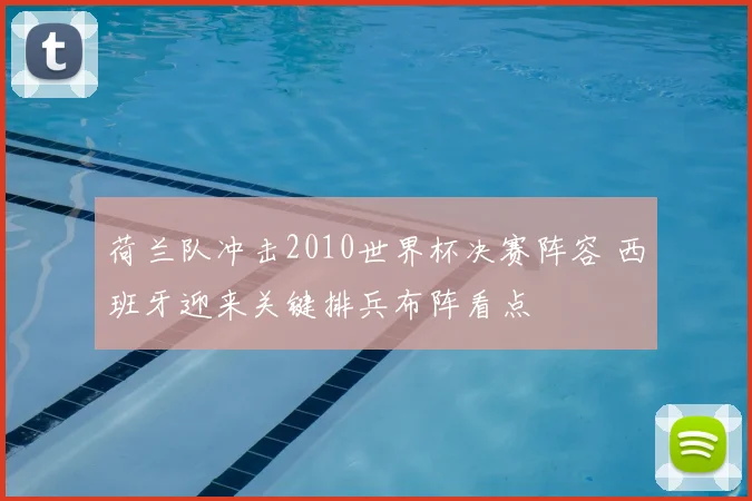 荷兰队冲击2010世界杯决赛阵容 西班牙迎来关键排兵布阵看点