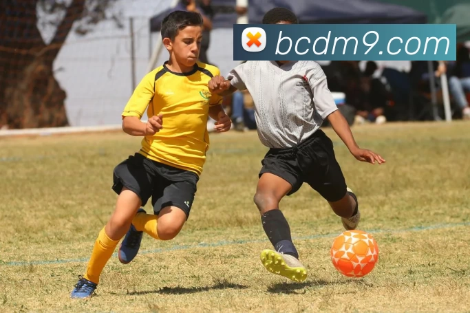 湖人勇士双双告捷锁定季后赛席位,独行侠逆转火箭迎六连胜